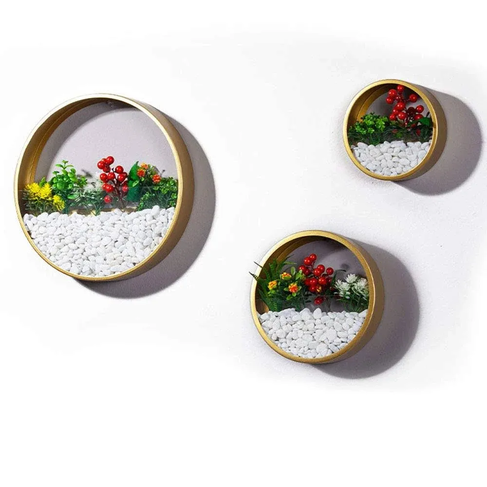 3 Pack Set Modern Wall Planters Succulent Planter, Circle Metal Flower Pot Indoor ...