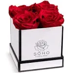 Soho Floral Arts | Roses in A Box | Genuine Roses that Last for Years (White Square 4ct, Red) | Mothers Day Gifts