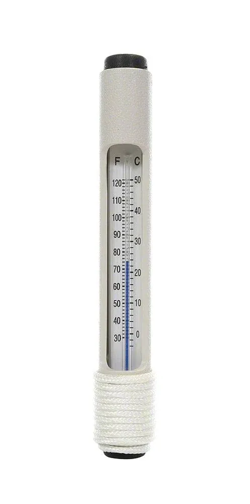 Pentair R141036 127 Thermometer with 3 ft. Cord