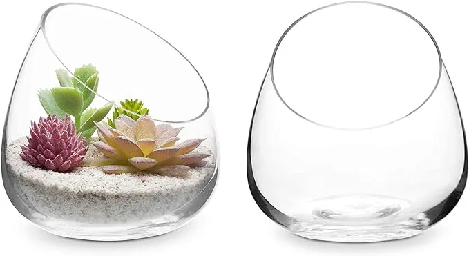 5-Inch Clear Glass Air Plant Terrarium, Succulent Cactus Plant Vases, Set of 2