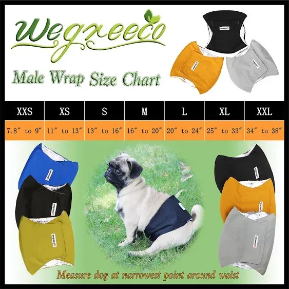 Wegreeco Washable Dog Diapers - Washable Male Dog Belly Wrap- Pack of 3 - (Blue,Green,Purple,X-Small)