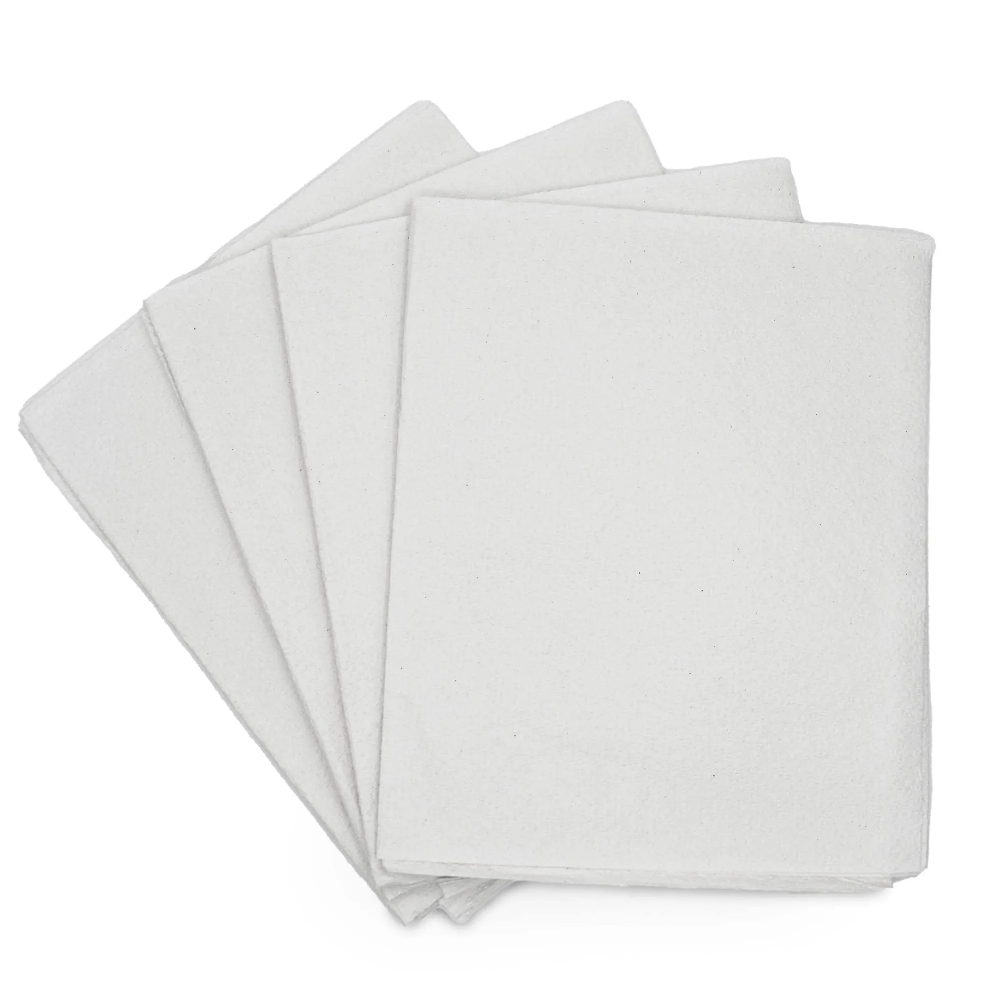 Avalon Single-Use Medical Patient Drape Sheets, White, 40” x 60” (Pack of 100) ― 2-Ply Tissue ― Pebble Embossed ― Latex-Free Medical Supplies ― Tattoo Supplies (216)