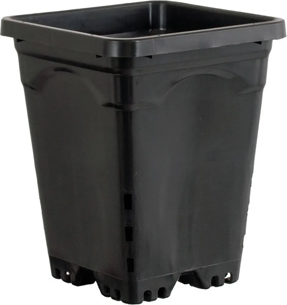 Active Aqua 6" x 6" Square Black Pot, 8" Tall, Case of 50_Plastic Pots_Pots & Containers_Soils & Containers