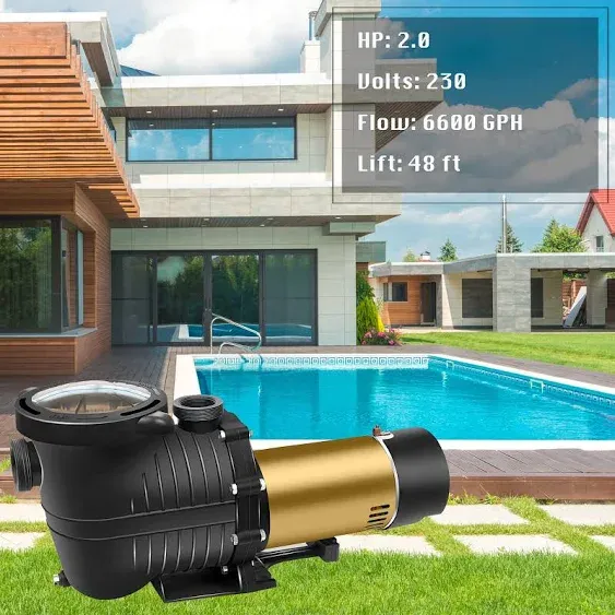 DoE-Compliant PureBy Dual Voltage 115/230v Pool Motor Pump with 1.25" & 1.5" NPT Unions (Black1)