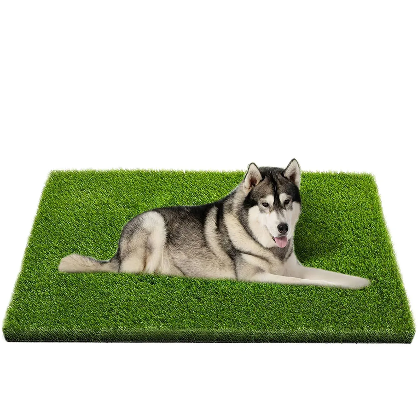 Artificial Grass Professional Dog Grass Mat Potty Training Rug and Artificial...