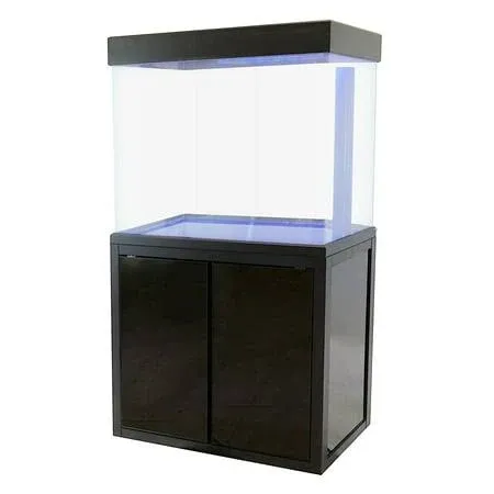 Aqua Dream 50 Gallon All-in-one Aquarium