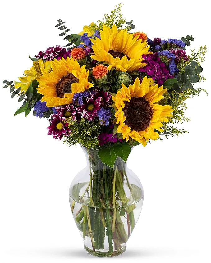 Benchmark Bouquets, Flowering Fields, Glass Vase Included, Gift Fresh Flowers for Birthday, Anniversary, Get Well, Sympathy, Congratulations, Thank You, Just Because