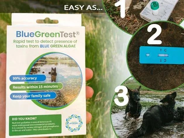 5Strands Blue Green Algae Test Kit, ﻿at Home Lake & Pond Water Testing, Water Safety Test, Collect Results in 15 Minutes