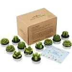 Cactus Tealight Candles,12 Pieces Handmade Delicate Succulent 12 Cactus Candles