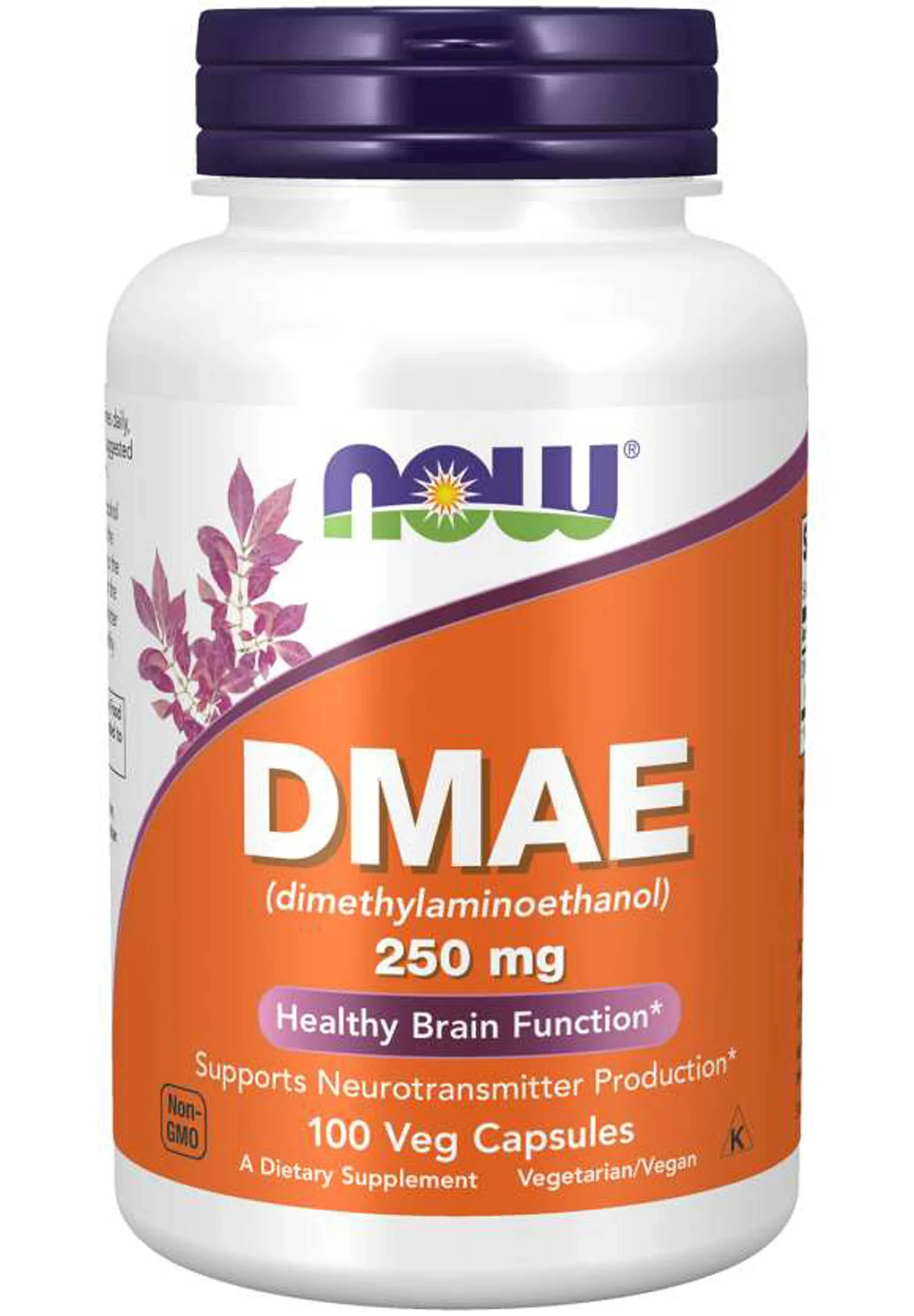 Now Foods DMAE, 250 mg, 100 Vcaps