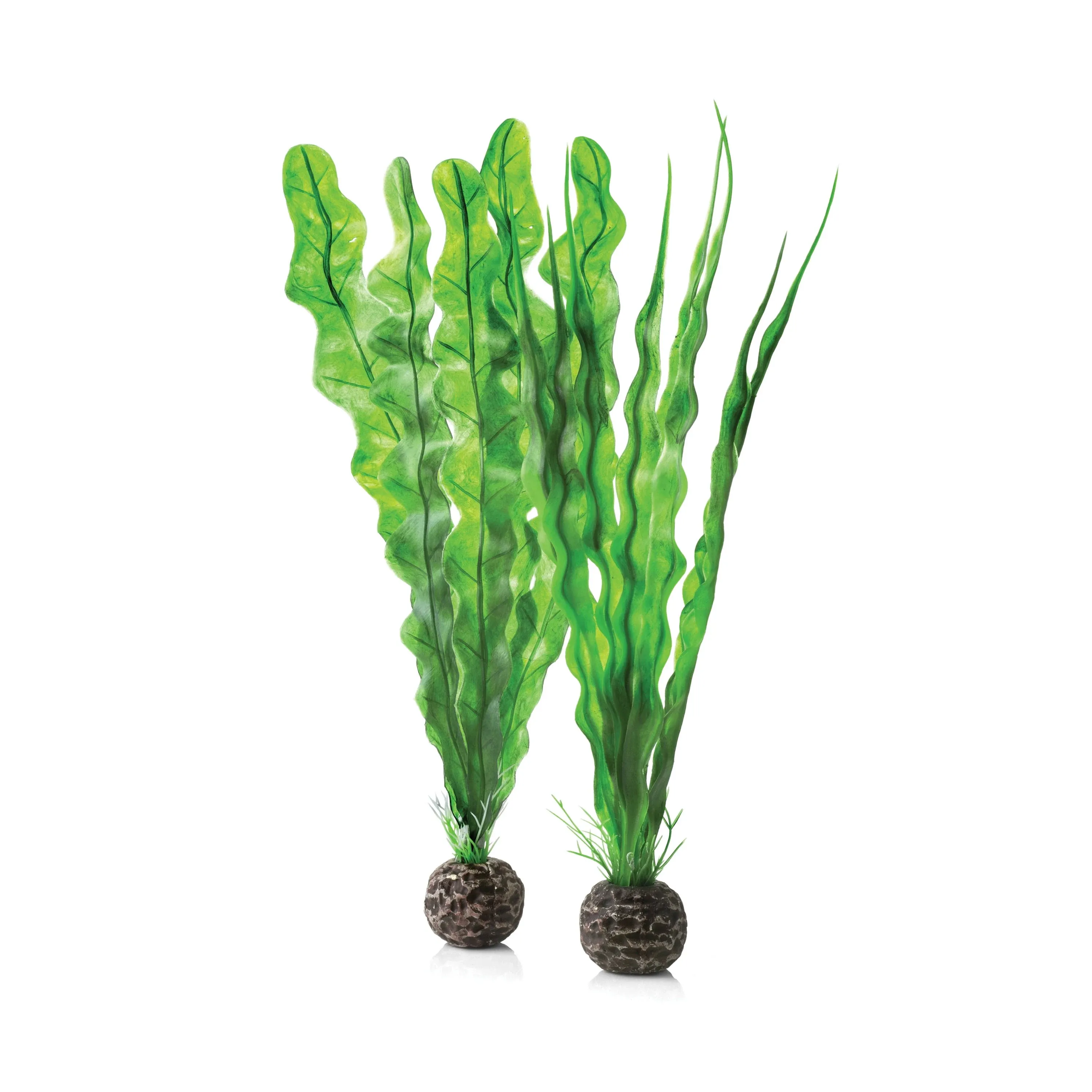 biOrb Easy Plant Green Medium Set of 2