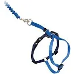 PetSafe Come with Me Kitty Harness & Bungee Leash Royal Blue Medium