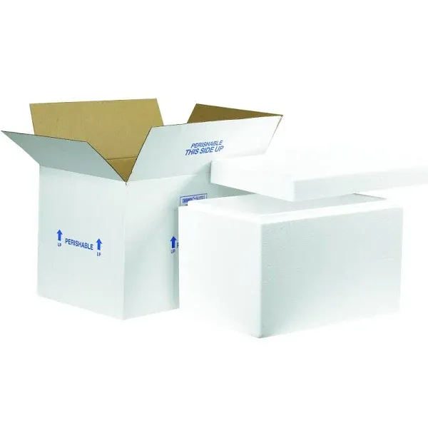 Boxes Fast BF261C Insulated Shipping Box with Foam Container, 19" x 12" x 12 1/2", Large, White