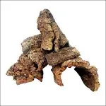 EZ Botanicals Cork Bark - 1lb (assorted) - for Orchids, Airplants, Reptiles, and Terrariums