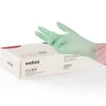 Lanon Protection Lanon Wahoo 5 Mil Vitamin-E Coated Latex Disposable Gloves, Food-Contact Grade, Textured Fingertips, Green, Small