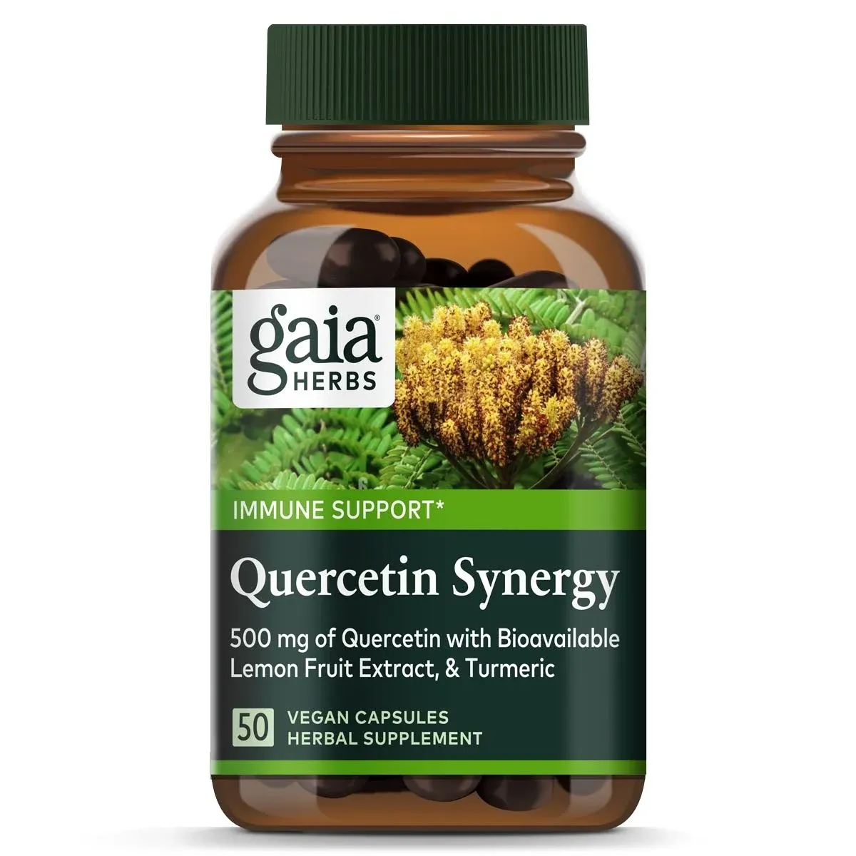 Gaia Herbs, Quercetin Synergy, Synergie mit Quercetin, 50 vegane Kapseln