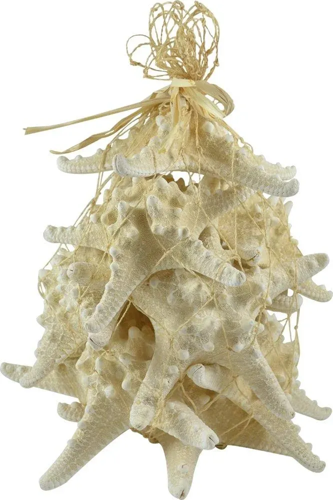 HS Seashells The Seashell Company White Knobby Starfish Pack 12 pieces 4-6" inches