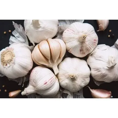 Fresh Garlic Cloves for Planting - Easy to Grow Your Own Food (10 Cloves)