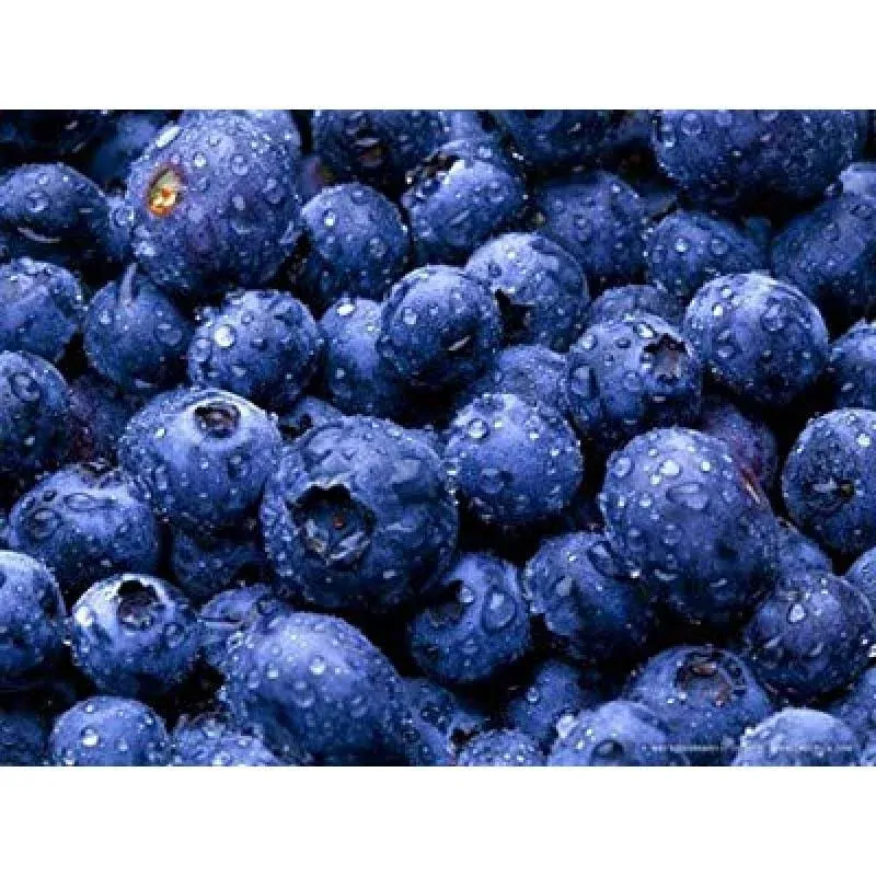 BLUEBERRIES FRESH PRODUCE FRUIT VEGETABLES PINT 10 OZ