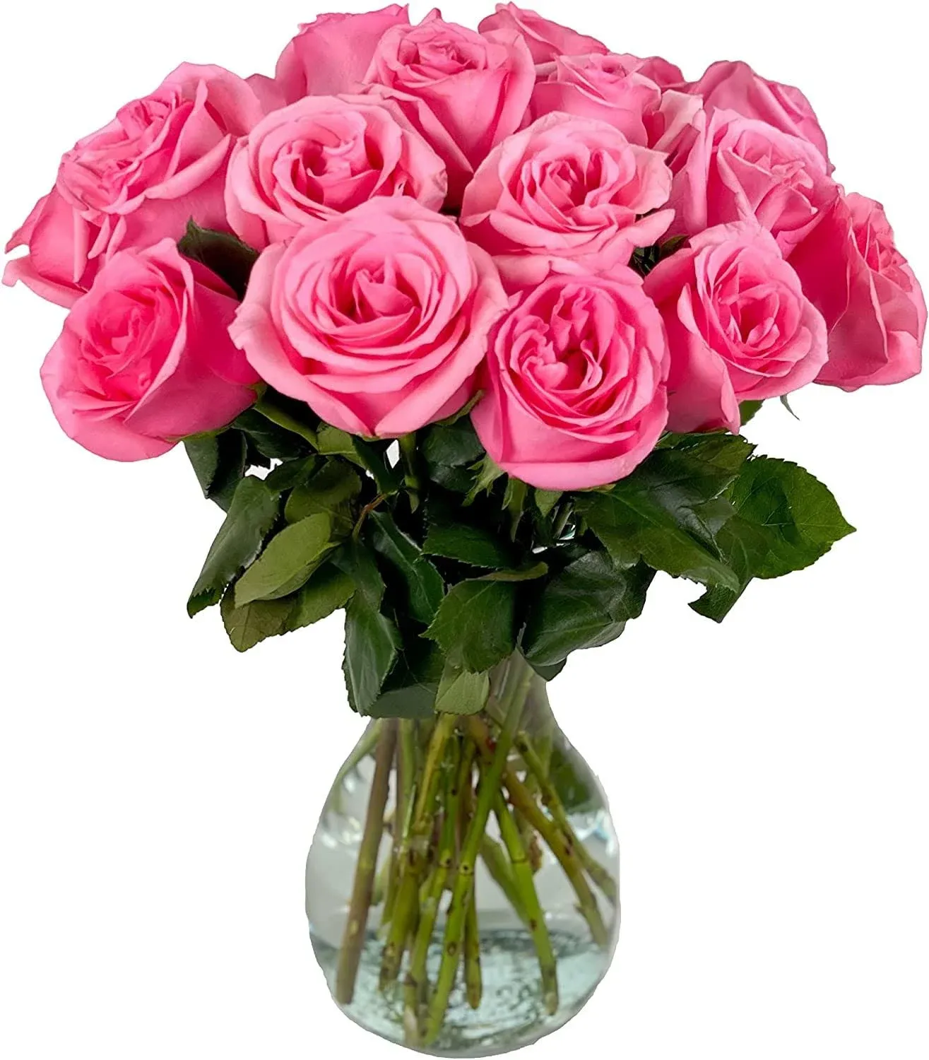 18 Cut Pink Roses