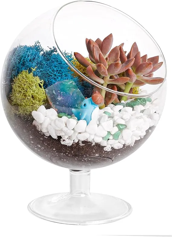 Creations by Nathalie - Plant Terrarium Kit, Glass DIY Terrarium Starter Kit for Adults, Metal Stand, Reindeer Moss, Crystal & Rocks, Tools, Figurine