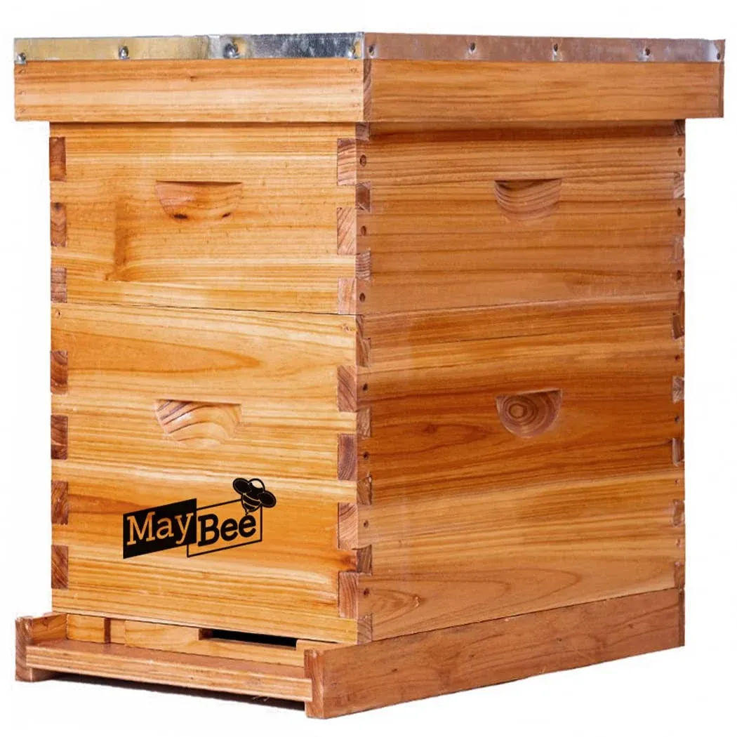 Beehive 8 Frame Bee Hive and Supplies Starter Kit for Beginner w/ Deep Boxes