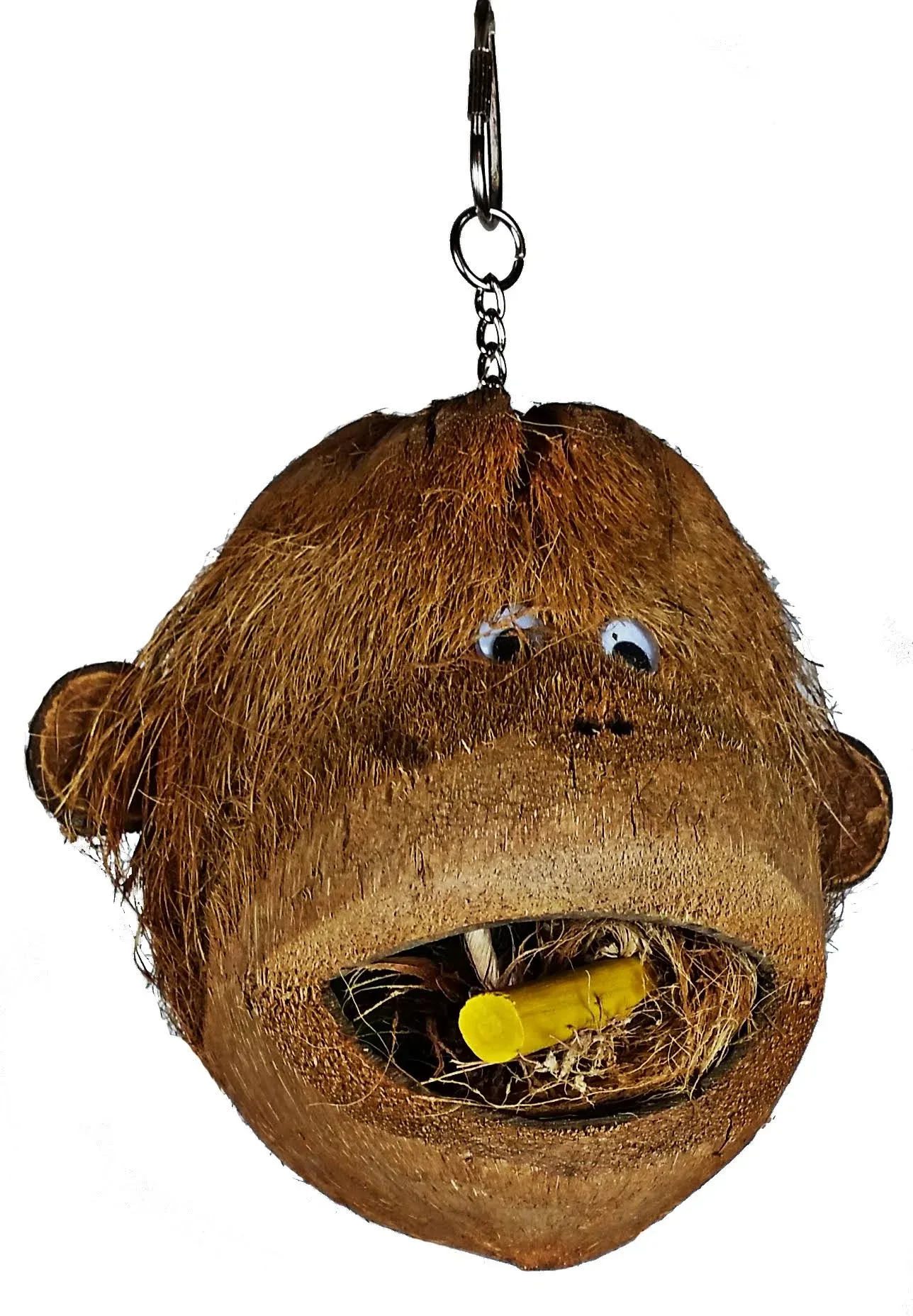 AE Cage Company Java Wood Coco Monkey Head for Birds