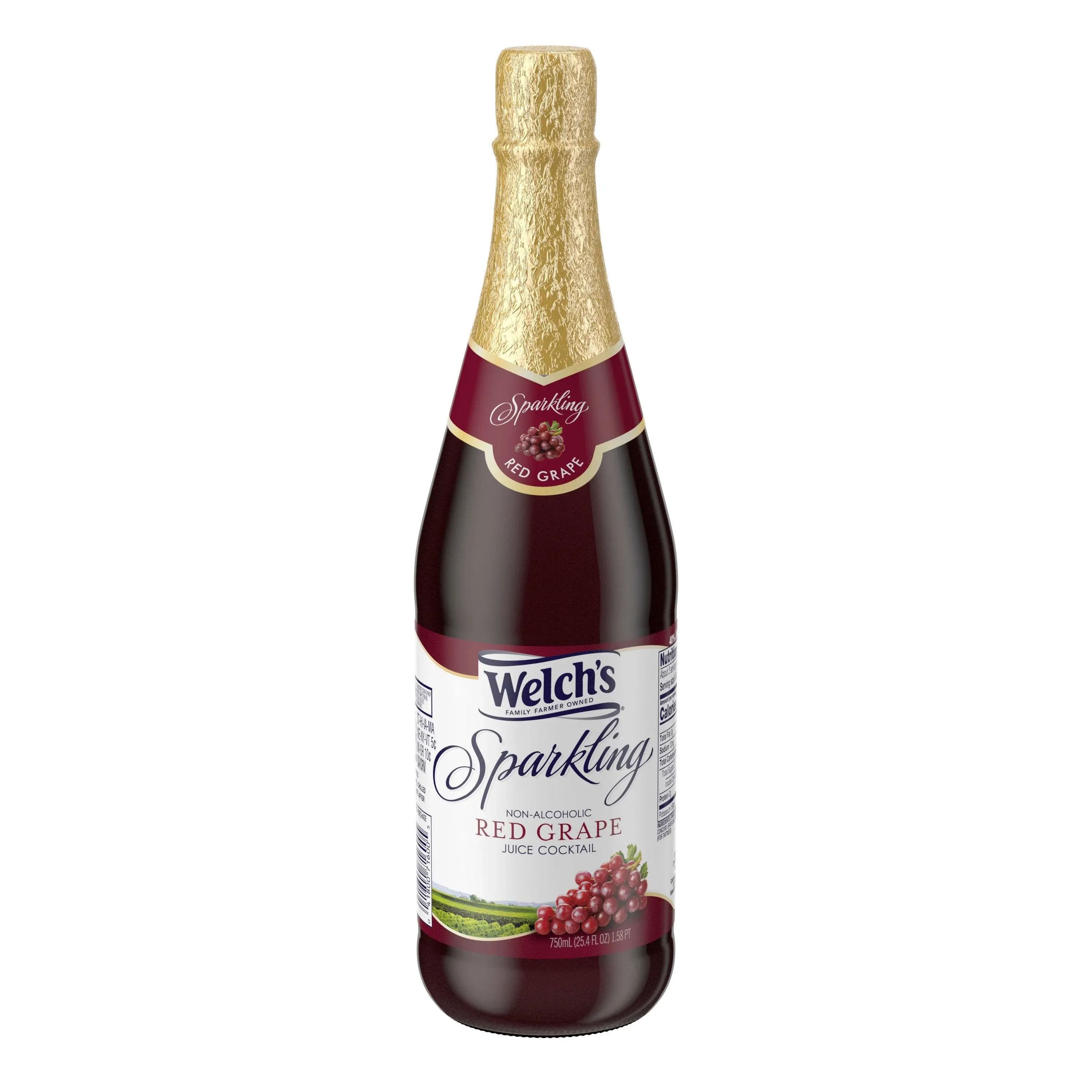 "Welch's Sparkling Red Grape Juice 25.4 fl. oz. Bottle, PK12"