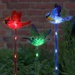 Exhart Solar WindyWing Garden Stake Set of Cardinal, Hummingbird and Blue Bird with Colored LED Lights, 4 by 27 inch