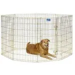 MIDWEST GOLD ZINC EXERCISE PEN 36IN