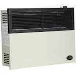 Ashley 17,000 BTU Direct Vent Wall Heater