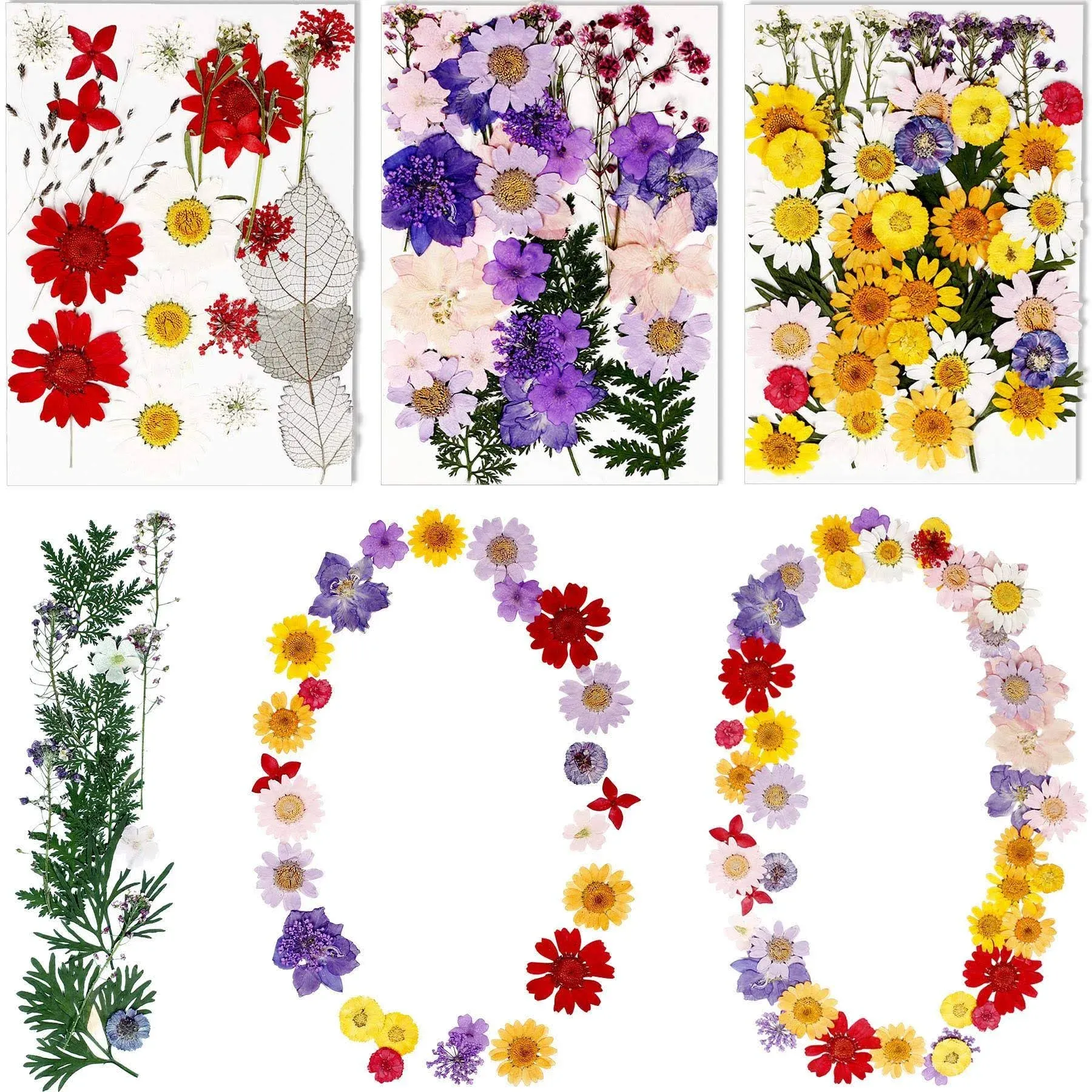 100PCS Died Pressed Flowers Natural Colorful Pressed Flowers Real Dry Flowers...