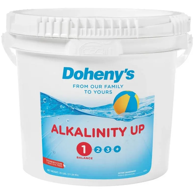 Doheny's Alkalinity Up for Pools