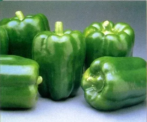 Green Bell Peppers Fresh Fruit Produce Vegetables by The Pound