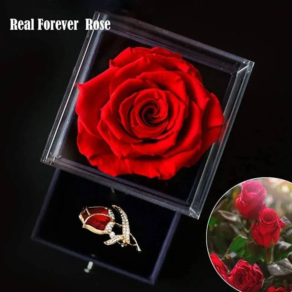 Preserved Red Rose Gift Box- Enchanted Real Rose with Ruby Rose brooch, Eternal Rose Flower in Jewelry Box, Handmade Rose,Forever Red Rose Gift for her On Christmas Mother's Day, Anniversary.