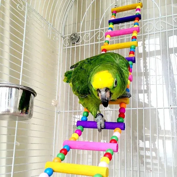 CocoGo Funny Swing Bird Toy Flexible Ladder, Colorful Parrot's cage Shelf