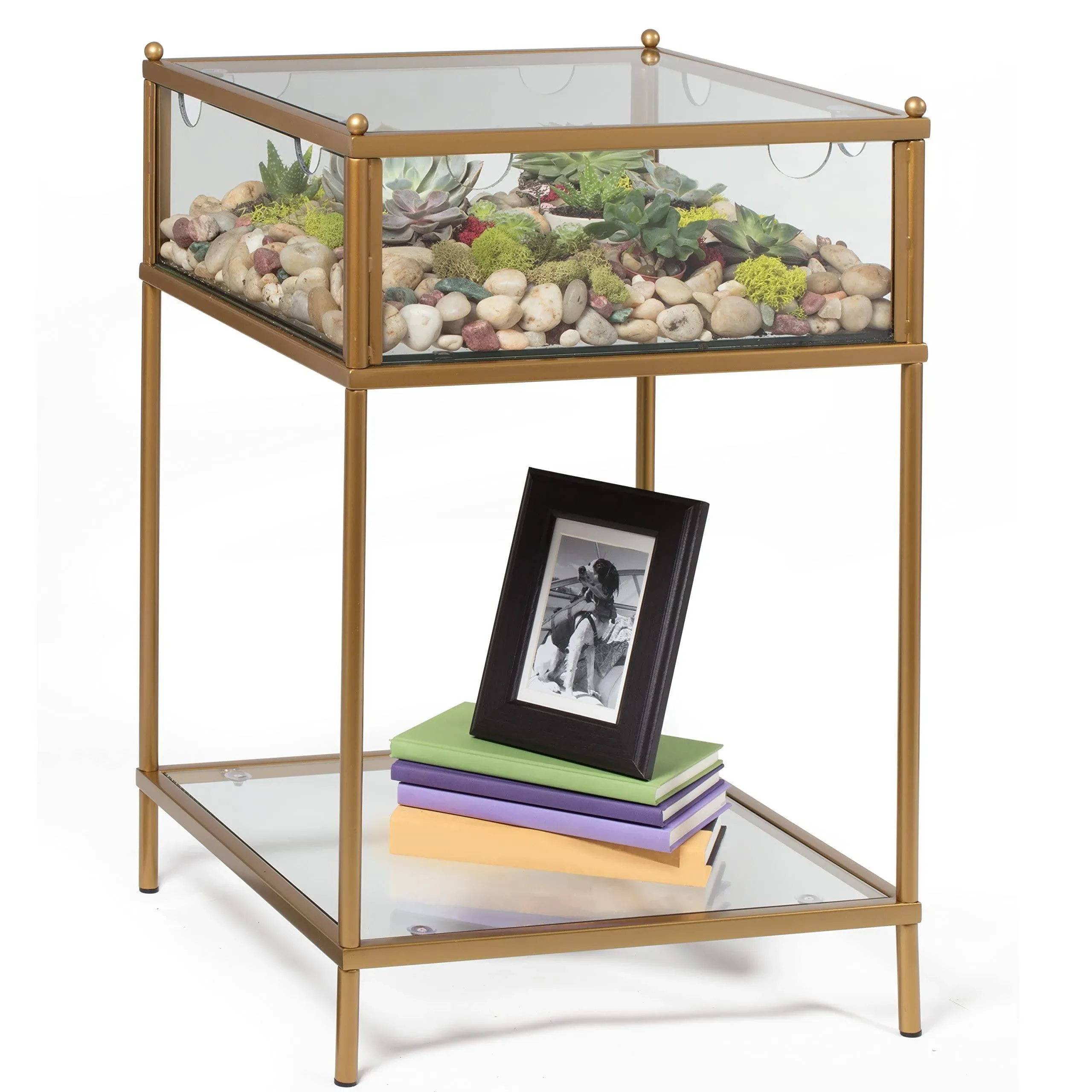 Square Terrarium Display End Table with Reinforced Glass in Gold Iron