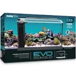 Fluval Sea Evo V Saltwater Fish Tank Aquarium Kit, Black, 5 gal, 10528A1