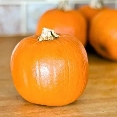 Sugar Pie Pumpkin, 20 Heirloom Seeds Per Packet, Non GMO Seeds