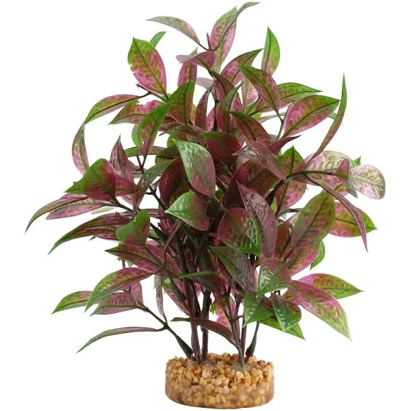 Fluval Broad Leaf Red Ludwigia Plant 8in