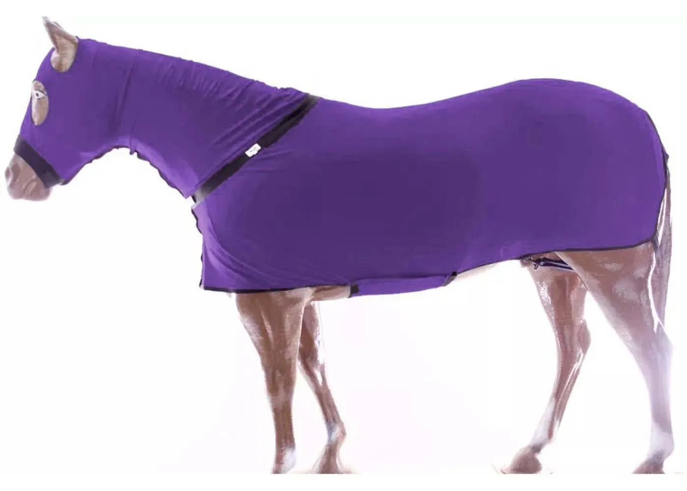 Horse Comfort Stretch Lycra Sleazy Full Body Sheet Neck 521MW03 - 521MW03PR-L ...