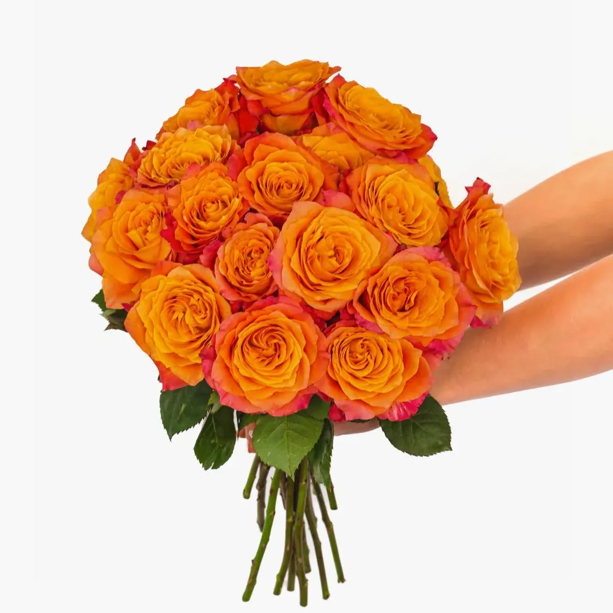 BloomsyBox Free Spirited Roses Bouquet