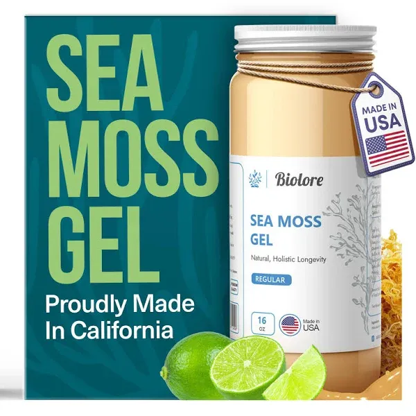 Biolore Sea Moss Gel 7700mg Mango Made in USA Raw Wildcrafted Irish Seamoss Essential Vitamins Trace Minerals Vegan Superfood for Immune Support, Jam, Jelly & Sweet Spread Gifts (Mango 16OZ)