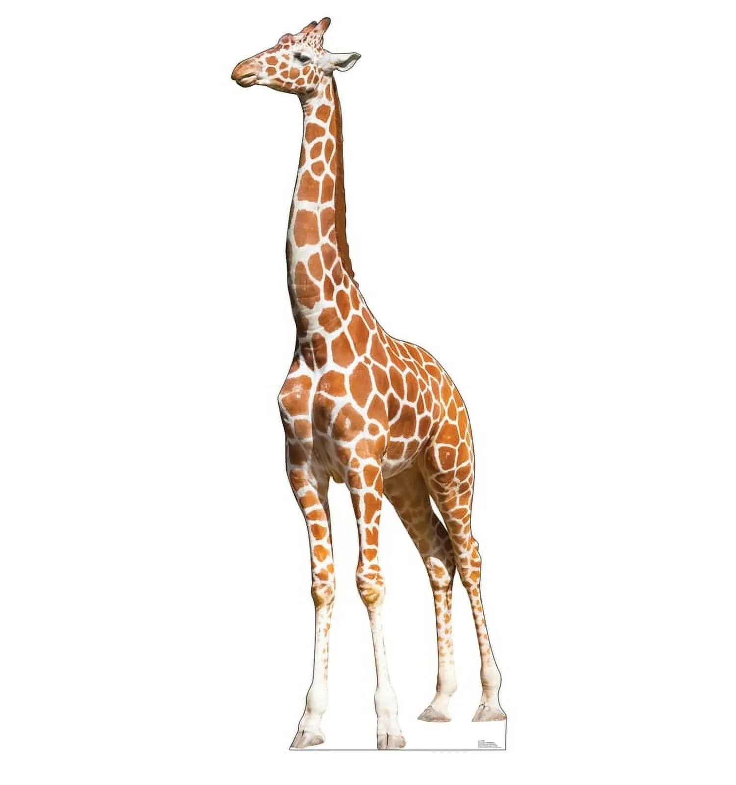 Life Size Cardboard Cutout Standup | Waterproof | Animals - Giraffe