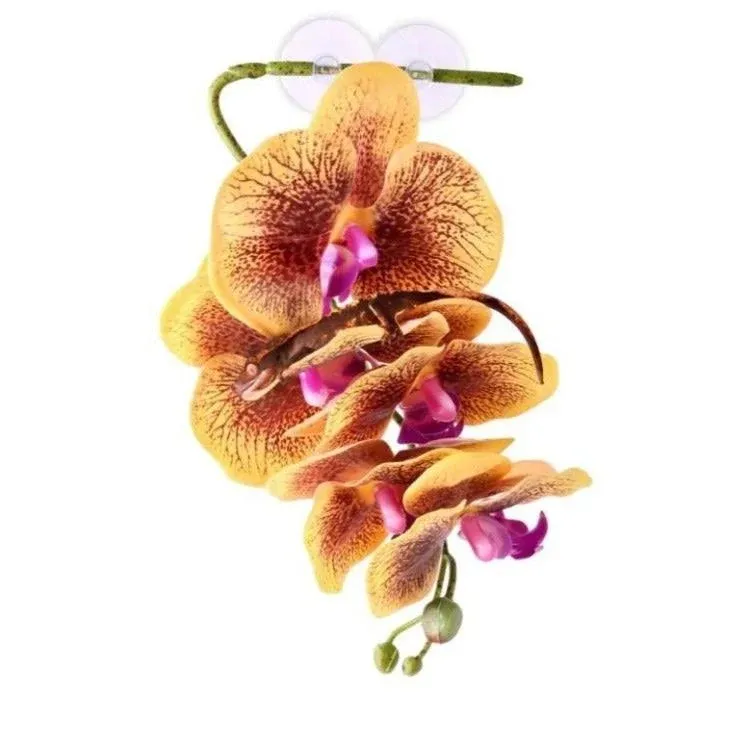 Hanging Orchids - Yellow