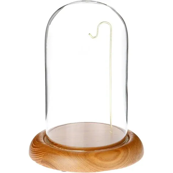 Plymor 4&#034; x 7&#034; Watch / Ornament Glass Display Dome (Oak Base &amp; Brass Wire)