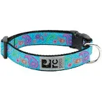 RC Pets 1 inch Adjustable Dog Clip Collar Medium Tropical Paisley