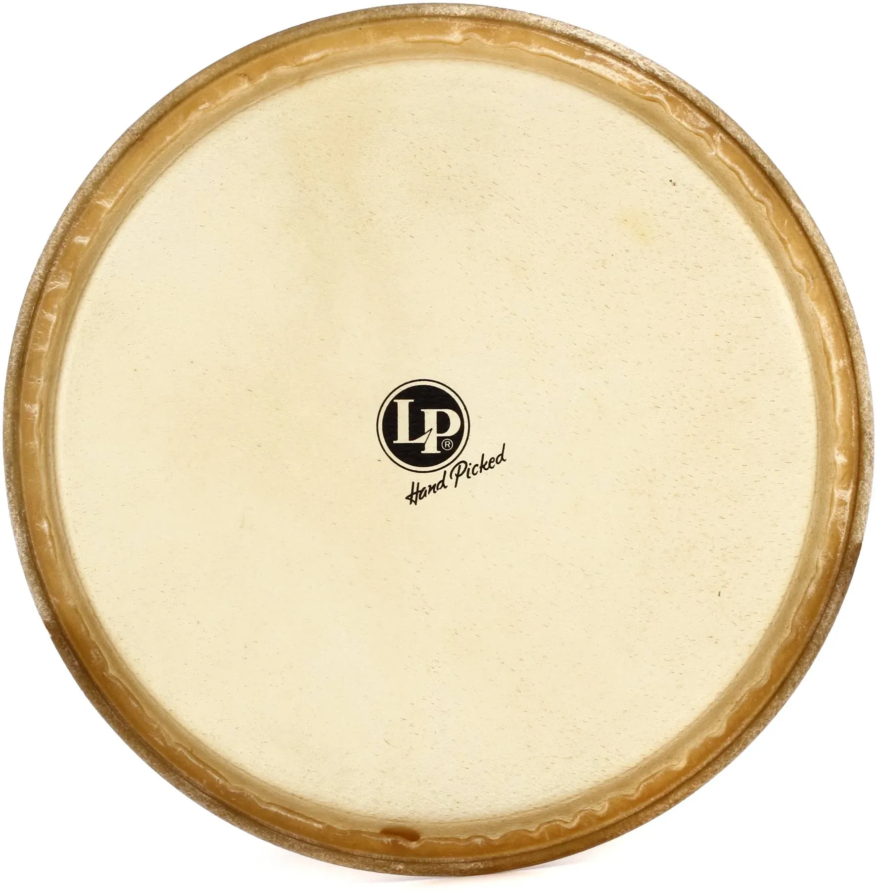 LP Conga Head 12.5 in.