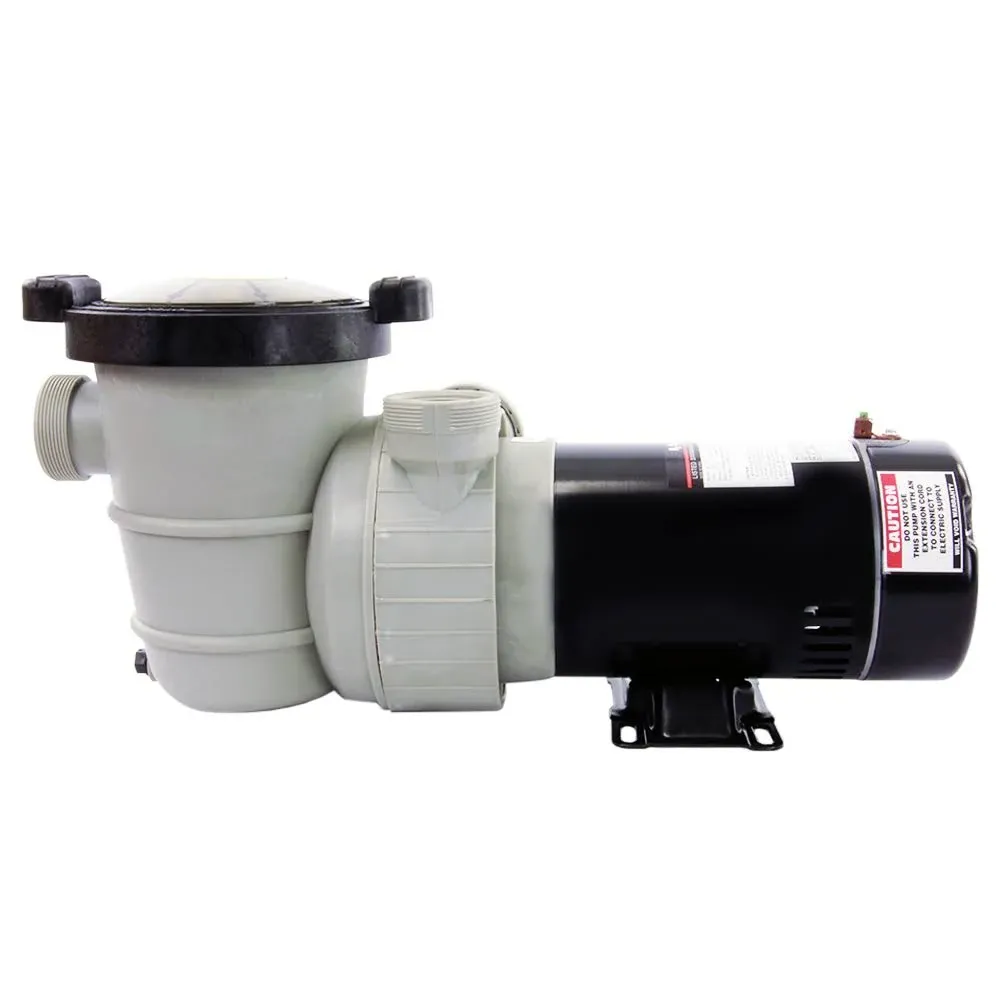 RX Clear Dorado 1 HP Dual Port Above-Ground Pool Pump