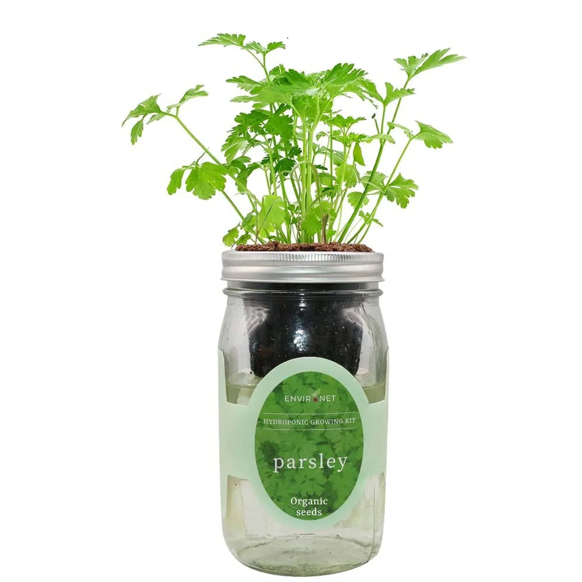 Hydroponic Herb Growing Kit, Self-Watering Mason Jar Herb Garden Starter Kit Indoor, Windowsill Herb Garden, Grow Your Own Herbs from Organic Seeds (Parsley)